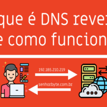 O que é DNS reverso e como funciona