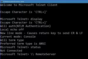Tela Terminal Telnet
