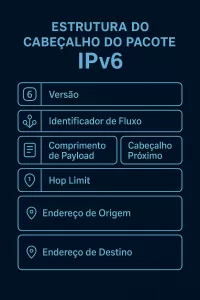 Infográfico explicando a estrutura de um pacote IPv6.