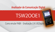 Emule PABX E1 (R2 Digital) com Wise TSW200E1